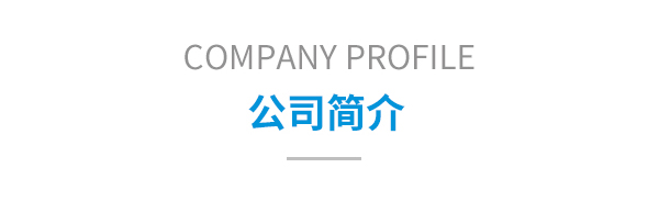 公司簡介
